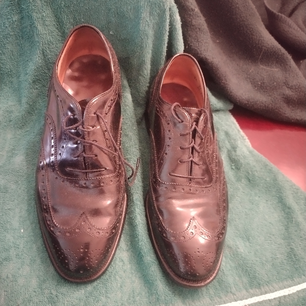 Black wing tip 7-1/2